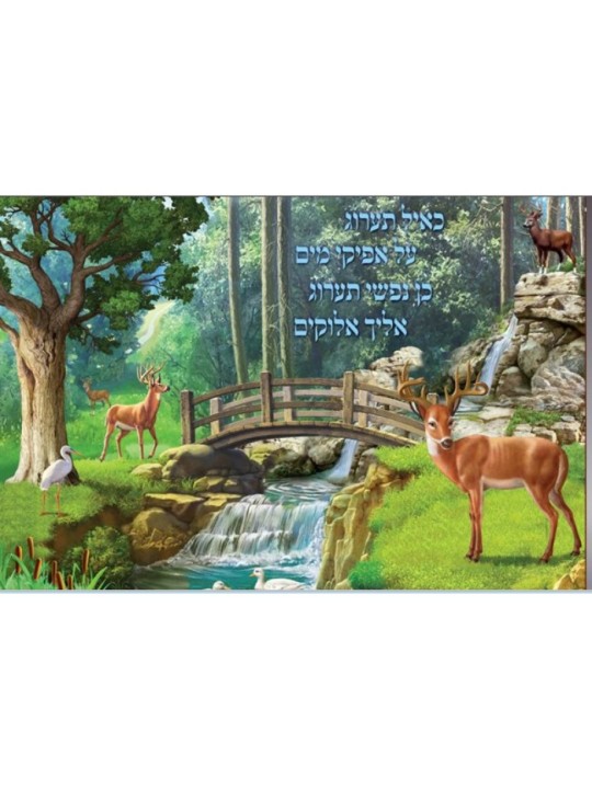 פוסטר קיר צבעוני למינציה תהילים כמו מכנסי הצבי פ... | פוסטרים